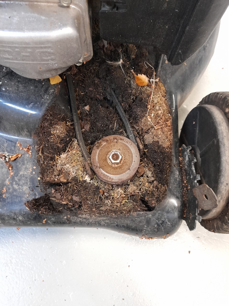 Ruohonleikkurin hihnakotelo täynnä ruohoa.