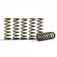 Hinson Clutch Springs CRF450R (7/8PLATE) 17-, CRF450RX - Moottoripyörän kytkinosat - D224660 - 1