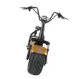 Kontio Motors Kruiser Premium Pack Gold 1,2kWh akulla - Kontio kruiserit - 499-147210 - 4