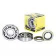 ProX Crankshaft Bearing & Seal Kit KX500 '83-04 - Moottoripyörän tiivisteet ja laakerit - D160070 - 1