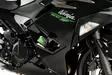 Puig Crash Pads R19 Kawasaki Ninja 500 24' C/Black - Moottoripyörän kaatumatapit - D510830 - 1