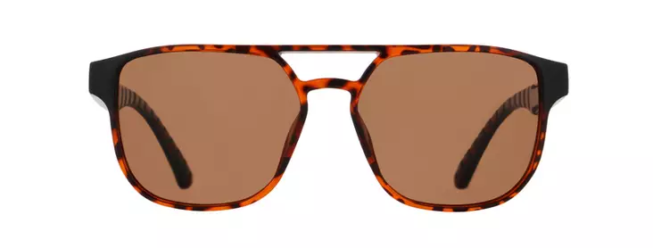 Spect Red Bull Elroy Sunglasses Shiny Havana w Brown lens - Aurinkolasit - D522090 - 1