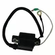 Cdi Elec. Ignition Coil 2 Cyl. Yamaha Enduro - Perämoottorin sytytyspuolat ja johdot - D268821 - 1