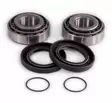EPI Rear Swing Arm Repair Kit - Mönkijän takahaarukan puslat - D118221 - 1