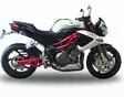 GPR Benelli Tnt 899 2008/16 EC-Approv. slip-on exhaust Tiburon Titanium - Moottoripyörän äänenvaimentimet - D425291 - 6
