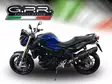 GPR Bmw F 800 R 2015/16 EC-Approv. slip-on exhaust Furore Nero - Moottoripyörän äänenvaimentimet - D425611 - 10