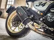 GPR Ducati Scrambler 800 2017/20 e4 EC-Approv. slip-on exhaust catalized Furore - Moottoripyörän äänenvaimentimet - D426231 - 8