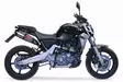 GPR Yamaha Mt-03 660 2006/13 Pair EC-Approv. slip-on exhaust catalized Gpe Ann. - Moottoripyörän äänenvaimentimet - D422531 - 10