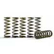 Hinson Clutch Springs YZ125 1993-2021 - Moottoripyörän kytkinosat - D404621 - 1