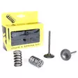 ProX Steel Intake Valve/Spring Kit CRF450R '02-08 - Moottoripyörän sylinterikannet - D137961 - 1