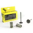 ProX Steel Intake Valve/Spring Kit KTM250SX-F '13-15 - Moottoripyörän sylinterikannet - D168831 - 1