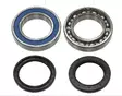 Sno-X Ketjukotelon laakerisarja Arctic Cat - Ketjukotelon laakerit ja öljytiivisteet - D360971 - 1