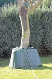 Tree watering bag premium 100 l - Tarvikevaraosat - 89-041 - 4