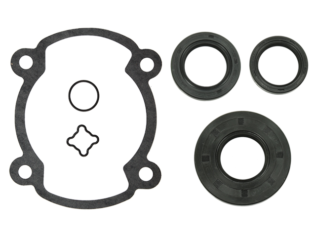 Sno-X Täydellinen tiivistesarja Rotax 250 FC - Moottorikelkan kokonaiset tiivistesarjat - D113301 - 1