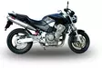 GPR Honda Hornet 900 2002/05 Pair EC-Approv. slip-on exhaust Trioval - Moottoripyörän äänenvaimentimet - D422842 - 5