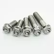 Scar 4 x Titanium hex head flange bolt M8 x 35 - titanium Gr5-Ti - Moottoripyörän kateruuvit ja ruuvisarjat - D269152 - 1