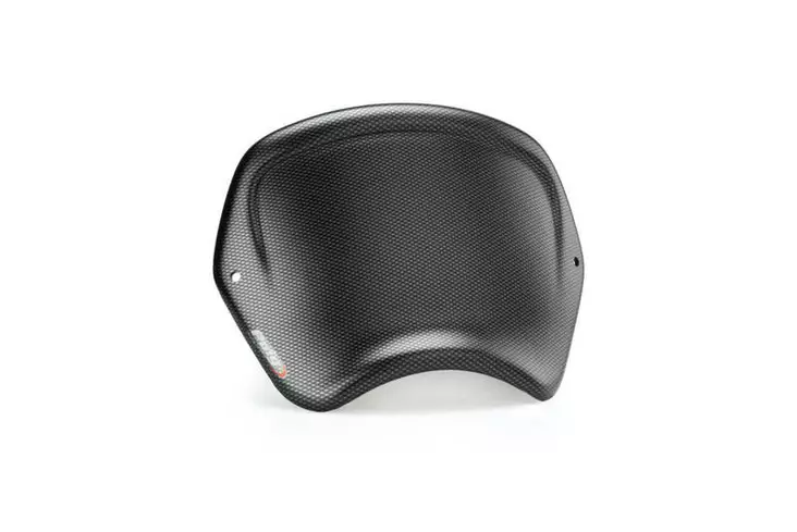 Puig Aluminium Front Plate Universal Fork C/Carbon Look - Moottoripyörän katteet ja tuulenohjaimet - D336922 - 1