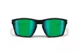 Bertoni Eyewear FULVIO 04 black/green - Ajolasit - D458033 - 2