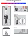 Champion Sytytystulppa 8810 Powersport - Ruohonleikkurin sytytystulpat - D467813 - 1