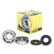 ProX Crankshaft Bearing & Seal Kit KX65/80/85/100/112 '85-23 - Moottoripyörän tiivisteet ja laakerit - D160063 - 1