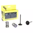 ProX Steel Intake Valve/Spring Kit KX250F '09-10 - Moottoripyörän sylinterikannet - D137973 - 1