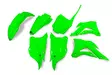 UFO Muovisarja 5-osainen Flou green KX85 14-21 - Offroad muovisarjat - D224663 - 1