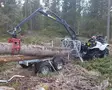 ATV Grapple crane 350-II Hydraulisella vedolla ja vinssilla - Mönkijän tukkikärryt - D170914 - 2