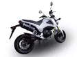 GPR Honda Msx - Grom 125 2013/17 EC-Approv. full line exhaust catalized Furore N - Moottoripyörän pakoputkistot - D423294 - 11