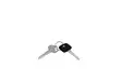 Ignition key suitable for castel garden - Tarvikevaraosat - 2309764 - 1
