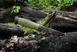 Outdoor puukko kje 2000 1kpl dspl - Työkalut - LX9234 - 2