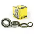 ProX Crankshaft Bearing & Seal Kit Beta RR250/300 2T '13-15 - Moottoripyörän tiivisteet ja laakerit - D213384 - 1