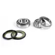 ProX Steering Bearing Kit Gas Gas 125/200/252/300/450 - Moottoripyörän ohjauslaakerit - D137654 - 1