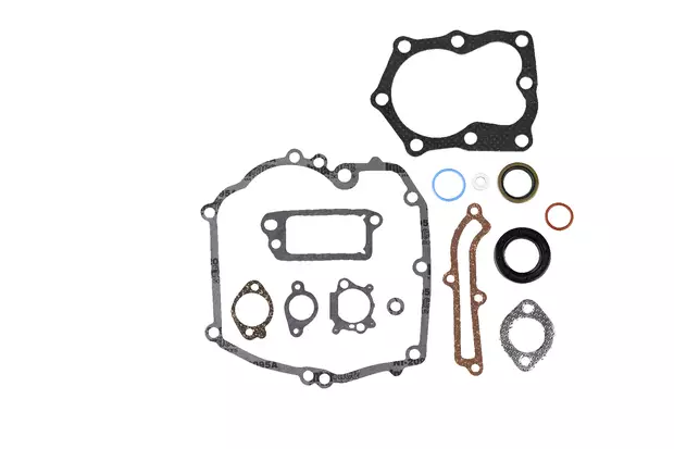 Briggs & Stratton Quantum Tiivistesarja (493263) - Ruohonleikkurin tiivisteet - 03454 - 1