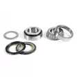 ProX Steering Bearing Kit ATC200X '83-87 - Moottoripyörän ohjauslaakerit - D168765 - 1
