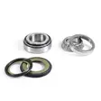 ProX Steering Bearing Kit PW50 '81-20 - Moottoripyörän ohjauslaakerit - D150735 - 1