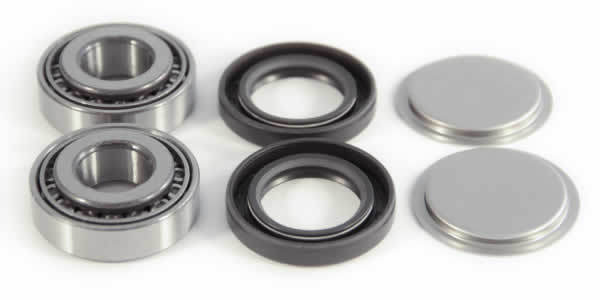 EPI Rear Swing Arm Repair Kit - Mönkijän takahaarukan puslat - D118225 - 1