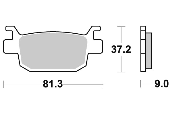 Sbs Jarrupalat Carbon Tech - Moottoripyörän jarrupalat - D220605 - 1