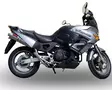 GPR Honda Varadero 1000 1999/11 Pair EC-Approv. slip-on exhaust Trioval - Moottoripyörän äänenvaimentimet - D422836 - 4
