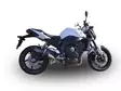 GPR Yamaha Fz.1 - Fazer 1000 2006/14 EC-Approv. slip-on exhaust catalized Furore - Moottoripyörän äänenvaimentimet - D425766 - 10