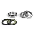 ProX Steering Bearing Kit CRF250R '14-16 + CRF450R '13-16 - Moottoripyörän ohjauslaakerit - D150736 - 1