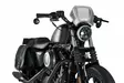 Puig Aluminium Front Plate For Harley Davidson C/Alu - Moottoripyörän katteet ja tuulenohjaimet - D336886 - 1