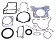 Tiivistesarja, Moottorin alatiivisteet, Lombardini LDW502 , Focs, Progress - Mopoauton moottorin osat - D484606 - 1
