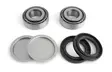 EPI Rear Swing Arm Repair Kit - Mönkijän takahaarukan puslat - D118227 - 1