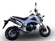 GPR Honda Msx - Grom 125 2013/17 Racing full line exhaust Deeptone Inox - Moottoripyörän pakoputkistot - D423297 - 4