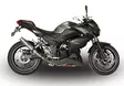 GPR Kawasaki Z 300 2014/16 e3 Racing slip-on exhaust Deeptone Inox - Moottoripyörän äänenvaimentimet - D427717 - 4