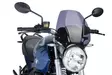 Puig Windshield Naked New Generation Bmw R1200R 06-14'C - Moottoripyörän katteet ja tuulenohjaimet - D299777 - 1