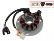 Sno-X Staattori, Polaris 600/680/700/800 - Moottorikelkan staattorit - D484227 - 1