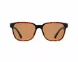 Spect Red Bull Eliot Sunglasses Shiny Havana w Brown lens - Aurinkolasit - D521887 - 2