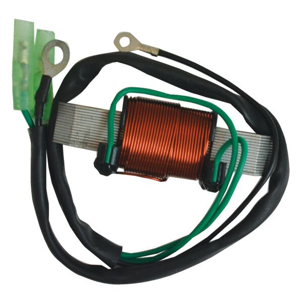 Cdi Elec. Lighting Coil, Yamaha Enduro, 2Cyl. - Perämoottorin lataus- ja valopuolat - D268817 - 1