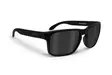 Bertoni Eyewear ROGER 01 black/smoke - Ajolasit - D458028 - 1